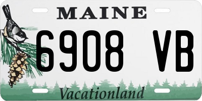 ME license plate 6908VB