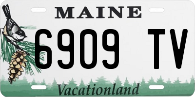 ME license plate 6909TV