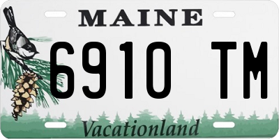 ME license plate 6910TM