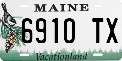 ME license plate 6910TX