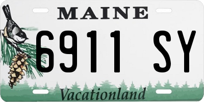 ME license plate 6911SY