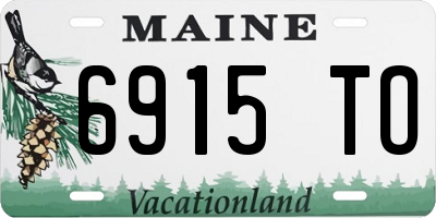 ME license plate 6915TO