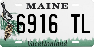 ME license plate 6916TL