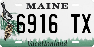 ME license plate 6916TX