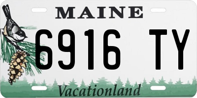 ME license plate 6916TY