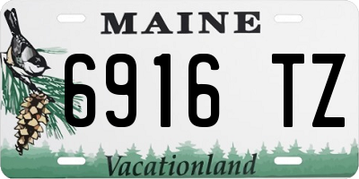 ME license plate 6916TZ