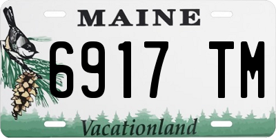 ME license plate 6917TM