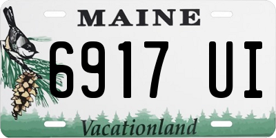ME license plate 6917UI