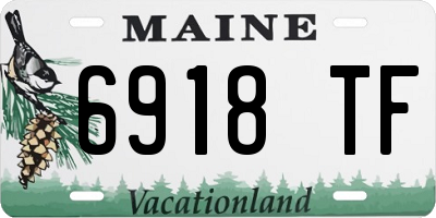 ME license plate 6918TF