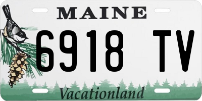 ME license plate 6918TV