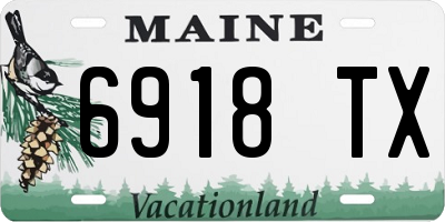 ME license plate 6918TX