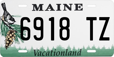 ME license plate 6918TZ