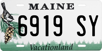 ME license plate 6919SY