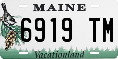ME license plate 6919TM