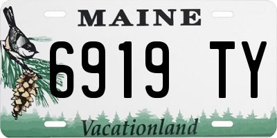 ME license plate 6919TY