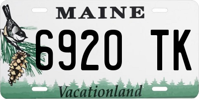 ME license plate 6920TK