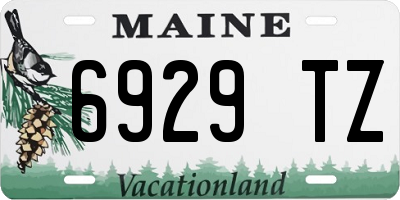 ME license plate 6929TZ