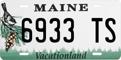 ME license plate 6933TS