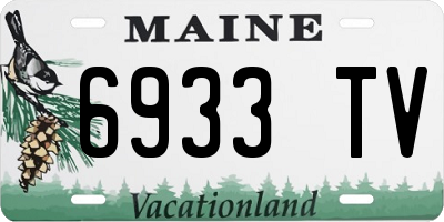 ME license plate 6933TV