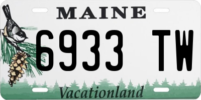 ME license plate 6933TW