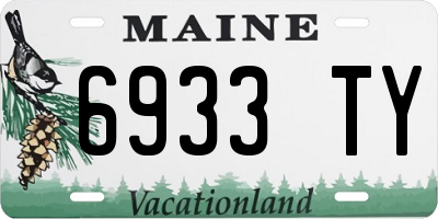 ME license plate 6933TY