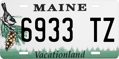 ME license plate 6933TZ