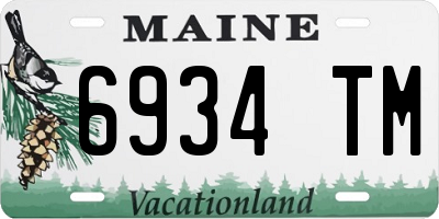 ME license plate 6934TM