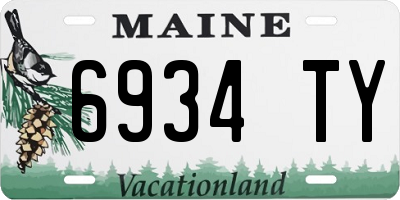 ME license plate 6934TY