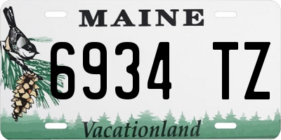 ME license plate 6934TZ