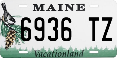 ME license plate 6936TZ