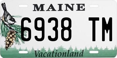 ME license plate 6938TM