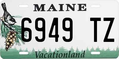 ME license plate 6949TZ