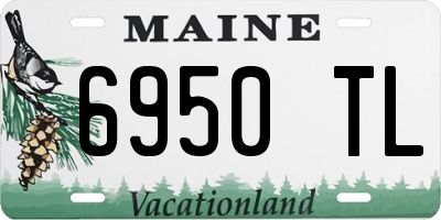 ME license plate 6950TL