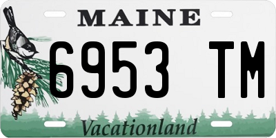 ME license plate 6953TM