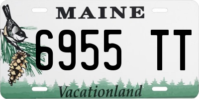 ME license plate 6955TT