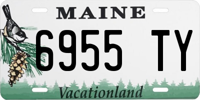ME license plate 6955TY