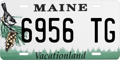 ME license plate 6956TG