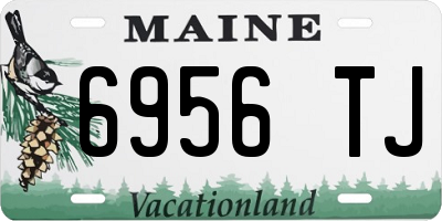 ME license plate 6956TJ