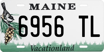 ME license plate 6956TL