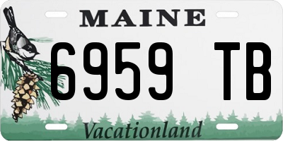 ME license plate 6959TB