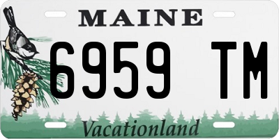 ME license plate 6959TM