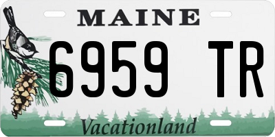 ME license plate 6959TR