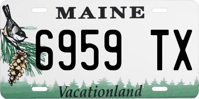 ME license plate 6959TX