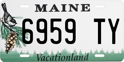 ME license plate 6959TY