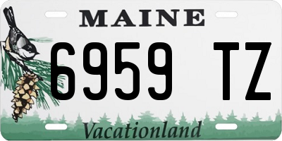 ME license plate 6959TZ