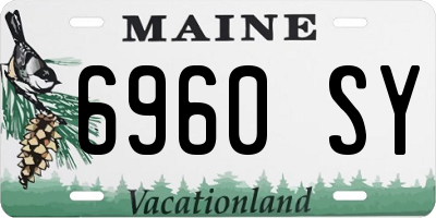 ME license plate 6960SY