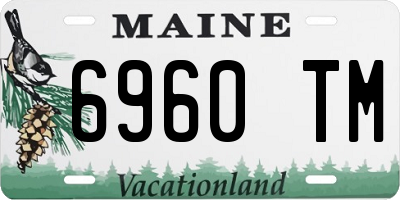 ME license plate 6960TM