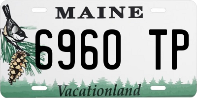 ME license plate 6960TP