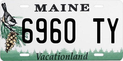 ME license plate 6960TY