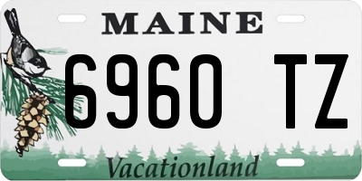 ME license plate 6960TZ